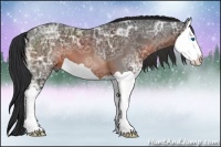 Horse Color:Brown Ice Splash