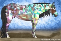 Horse Color:Bay Rabicano 