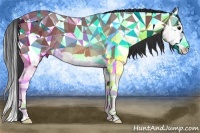 Horse Color:Bay Splash Rabicano