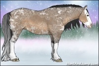 Horse Color:Brown Ice Dun Splash