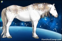 Horse Color:Plaid  White Spotted Black Pearl Splash Rabicano 