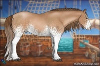 Horse Color:White Spotted Brown Pearl 