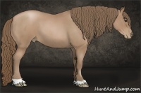 Horse Color:Blue Roan Pearl 