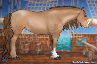 Horse Color:Brown Pearl Rabicano
