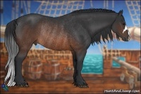 Horse Color:Brown Rabicano 