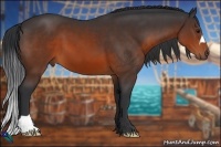 Horse Color:Brown 