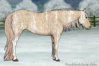 Horse Color:Palomino Ice Rabicano 