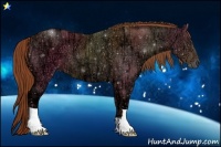 Horse Color:Chestnut Ice 