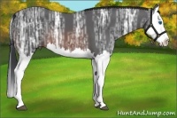 Horse Color:Brown Ice Splash 