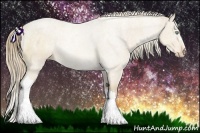 Horse Color:Perlino 