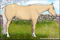 Horse Color:Silver Amber Cream Champagne