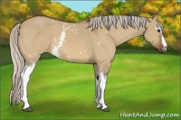 Horse Color:White Spotted Silver Bay Dun
