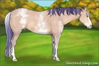 Horse Color:Watercolor White Spotted Amber Cream Champagne Dun Splash
