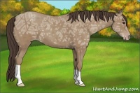 Horse Color:Classic Champagne Ice 