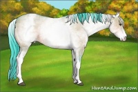 Horse Color:Watercolor White Spotted Bay Dun