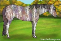 Horse Color:Nacre Brown Ice 