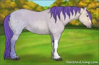 Horse Color:Watercolor Bay Ice Dun 