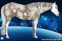 Horse Color:Silver Grullo Ice Splash 