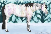 Horse Color:Buckskin Ice Tobiano 