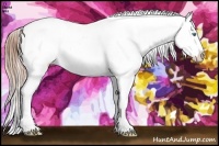 Horse Color:Buckskin Ice Pearl Splash Varnish Rabicano 
