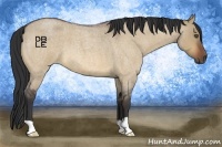 Horse Color:Bay Roan Dun 