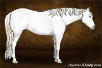 Horse Color:White Spotted Perlino Splash Tobiano
