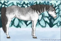 Horse Color:White Spotted Blue Roan Rabicano  Brindle