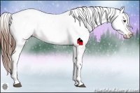 Horse Color:Chestnut Snowflake Varnish