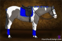 Horse Color:Grullo Sabino Splash Tobiano Rabicano 