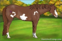 Horse Color:Chestnut Frame