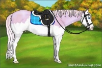 Horse Color:Watercolor Palomino Pearl Sabino Splash 