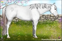 Horse Color:Bay Sabino Splash Appaloosa Rabicano 