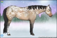 Horse Color:White Spotted Bay Ice Roan Dun Rabicano
