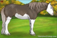 Horse Color:Chocolate Palomino Splash 