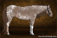 Horse Color:Liver Chestnut Ice  Brindle