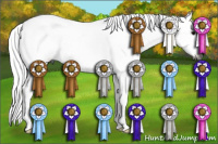Horse Color:Gray Buckskin Tobiano Frame 