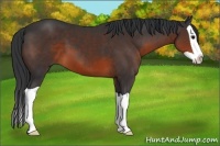 Horse Color:Brown Splash 