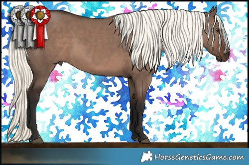 Horse Color:Liver Red Dun Mushroom 