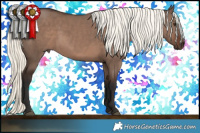 Horse Color:Liver Red Dun Mushroom 