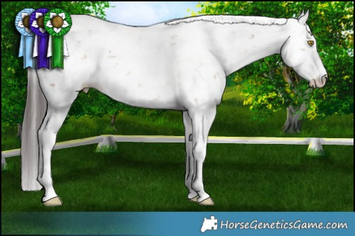 Horse Color:Sable Champagne Dun Sabino Rabicano 