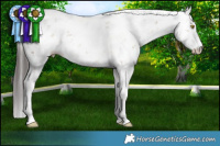 Horse Color:Sable Champagne Dun Sabino Rabicano