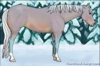Horse Color:Watercolor Silver Bay