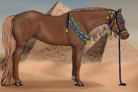 Horse Color:Chestnut Sabino 