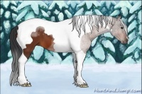 Horse Color:Bay Tobiano 