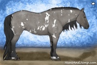 Horse Color:White Spotted Grullo Roan 