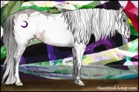 Horse Color:White Spotted Brown Frame Appaloosa Rabicano