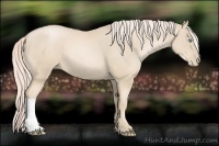 Horse Color:Palomino Pearl