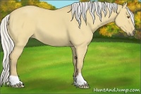 Horse Color:Silver Buckskin Dun 
