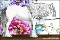 Horse Color:Brown Appaloosa Rabicano 