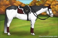 Horse Color:Black Splash